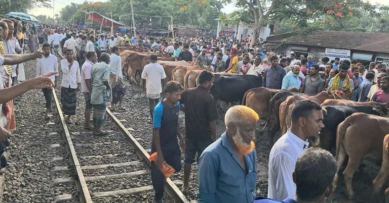 পশুর হাট